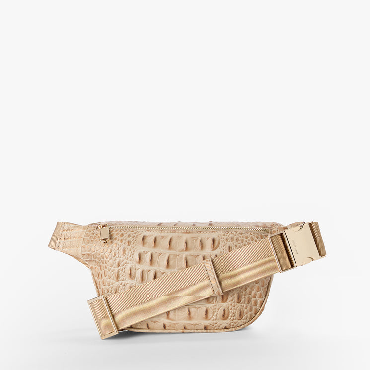 Sandstorm Alden Road Hollis Belt Bag Back View